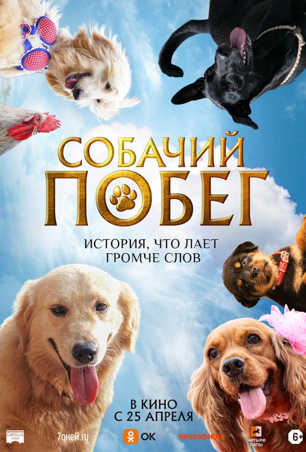 Фильм Собачий побег (2023) смотреть онлайн